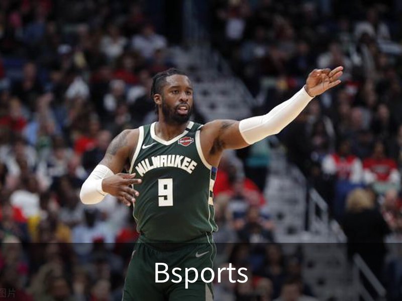 关于Bsports